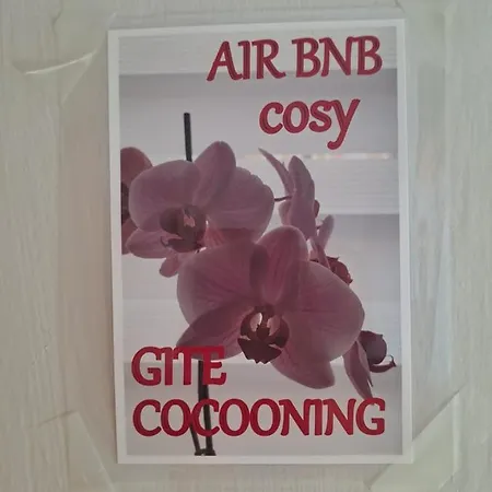 Cosy Sur شقة *